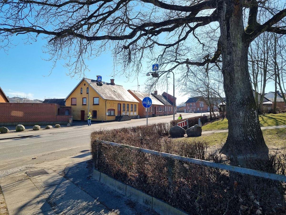 Stort træ og gult hus i centrum